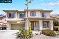 2138 Yellow Rose Cir thumbnail 3