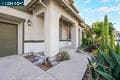 2138 Yellow Rose Cir thumbnail 5