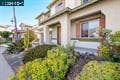 2138 Yellow Rose Cir thumbnail 6