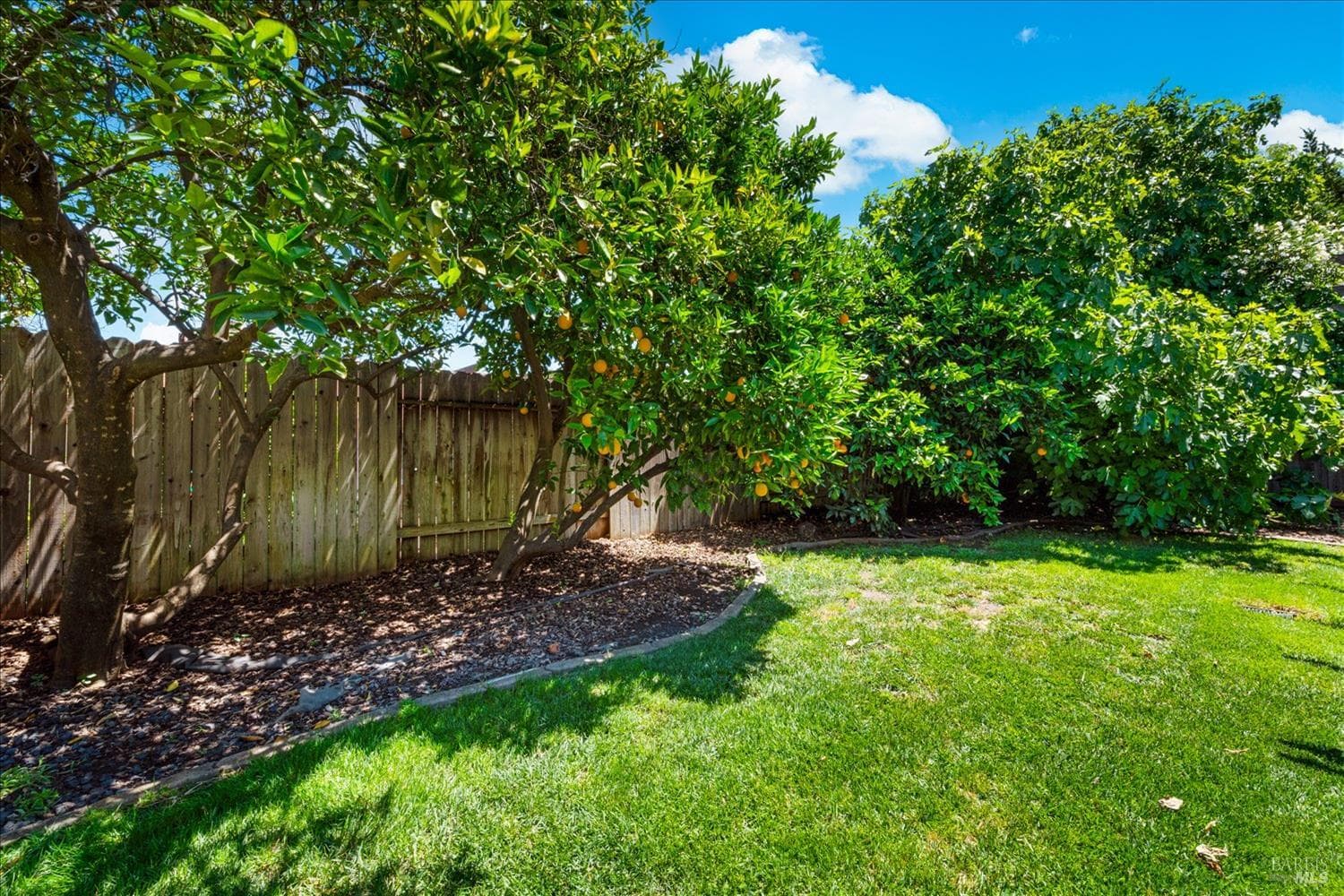 3012 Chestnut Court thumbnail 55