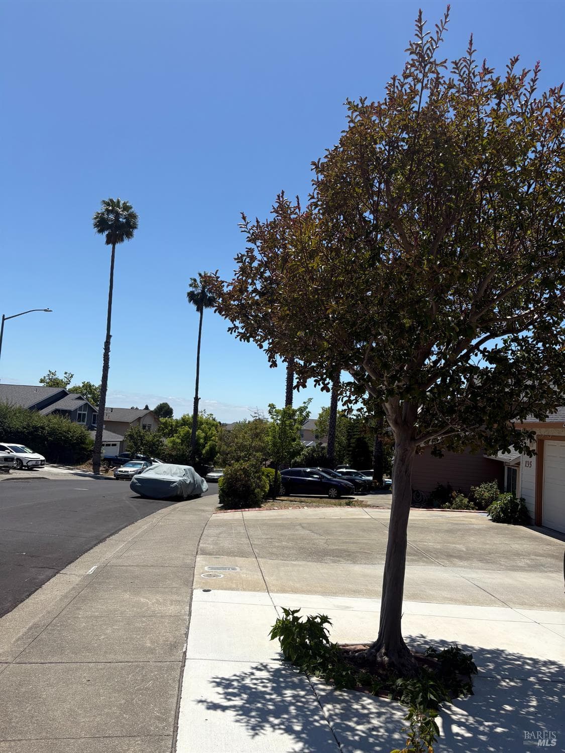 159 Vanessa Street thumbnail 2